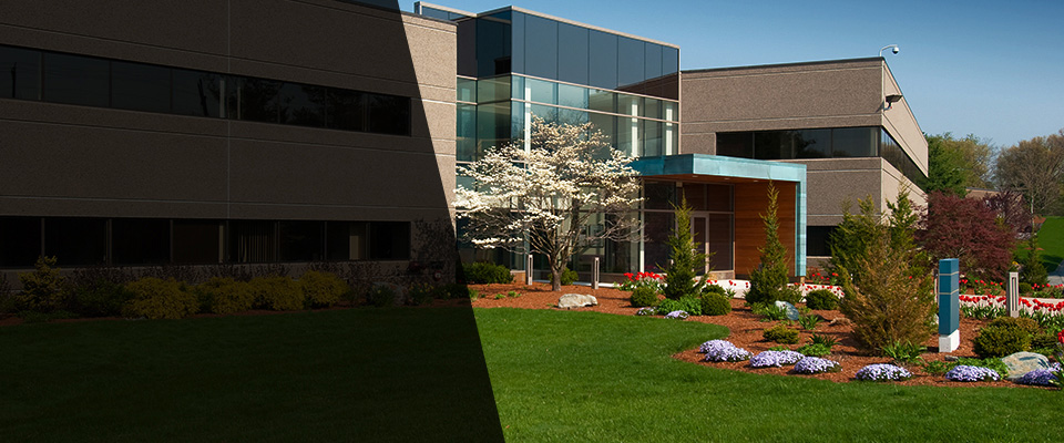 White Marsh Landscapers