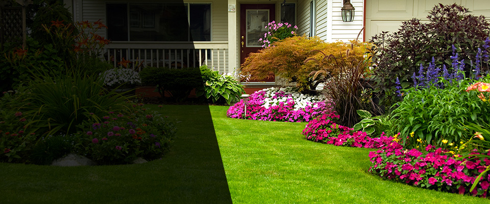 White Marsh Landscapers